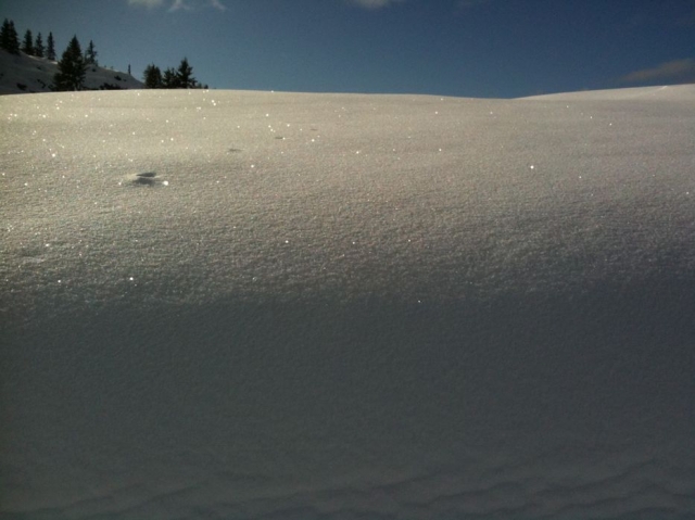  Larga vida nieve polvo en Chamonix